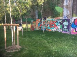 IMG_5396 - Copy.JPG